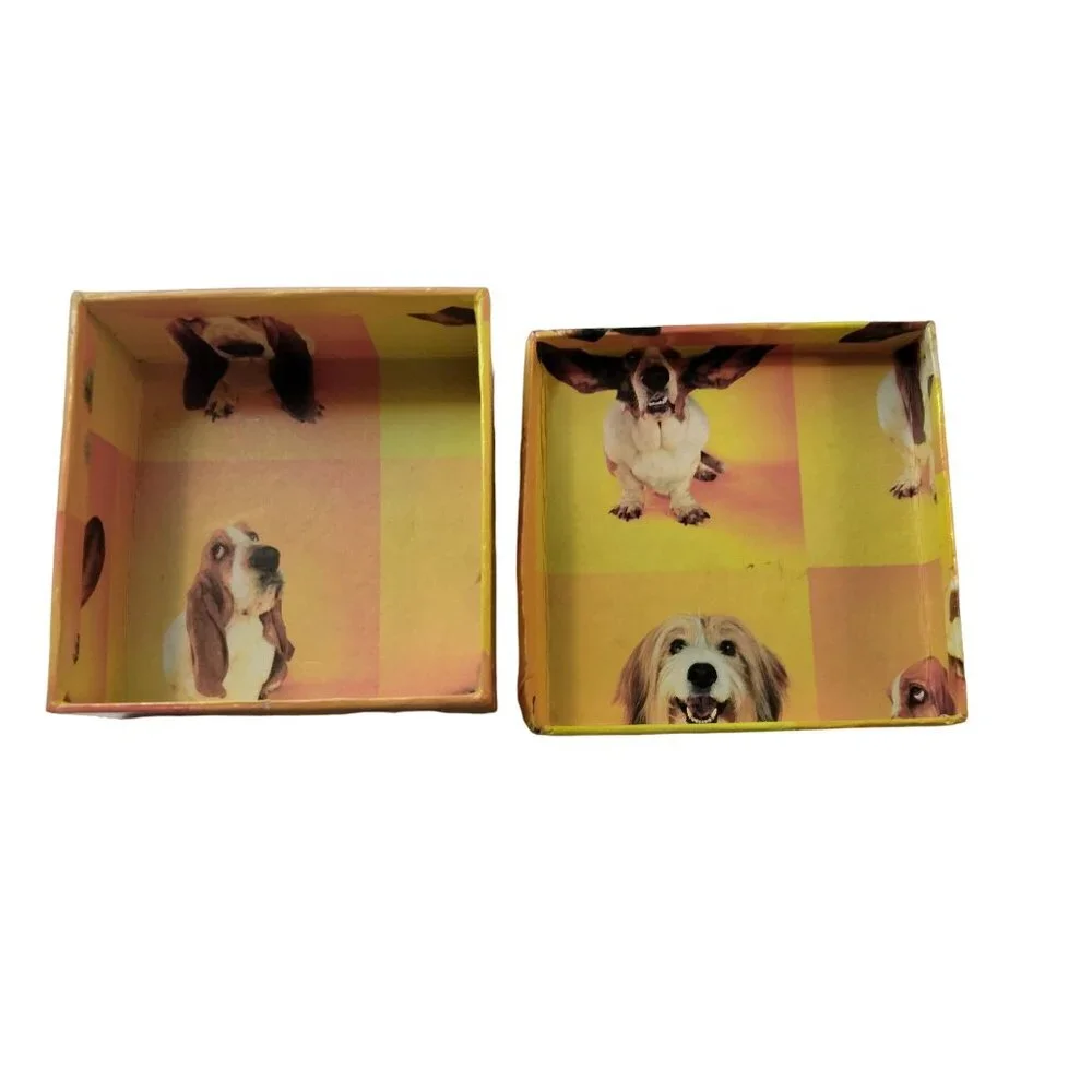 Basset Hound Jewelry Gift Box Yellow Orange